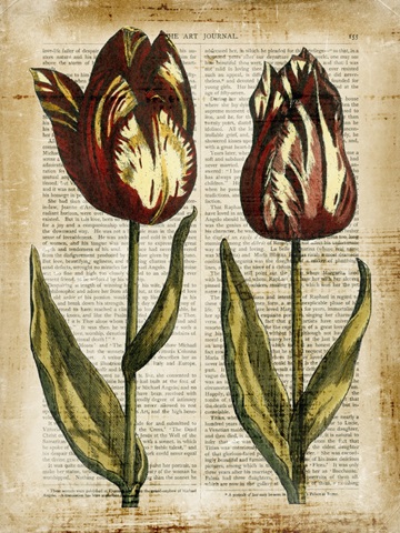 Antiquarian Tulips III