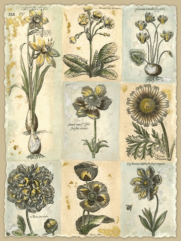 Botanical Patchwork I