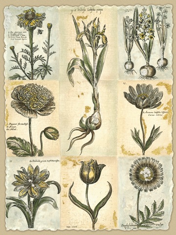 Botanical Patchwork II