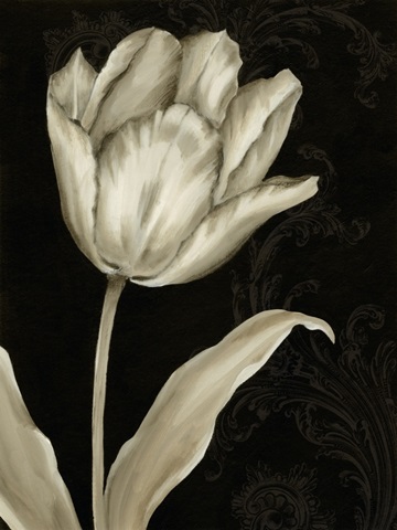 Classical Tulip I