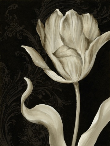 Classical Tulip II