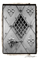 Distinguished Doors I