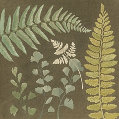 Earth and Fern II