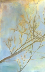 Embrace I