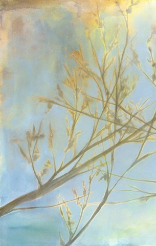 Embrace I