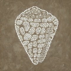 Embroidered Shells IV