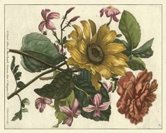 Floral Posy I