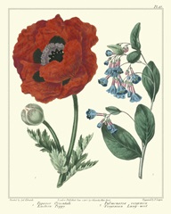 Gardener's Delight I