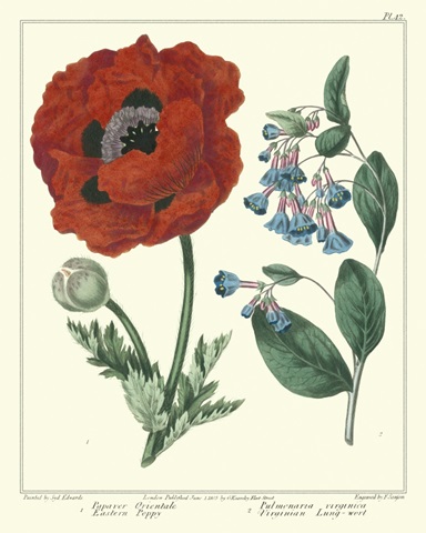 Gardener's Delight I