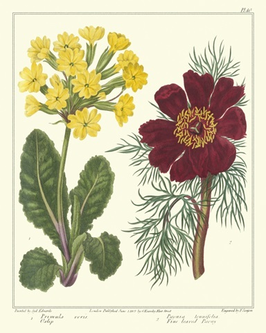 Gardener's Delight II