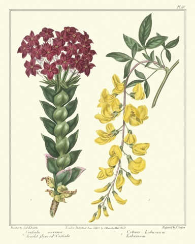 Gardener's Delight V