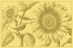 Golden Sunflowers I