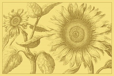 Golden Sunflowers I
