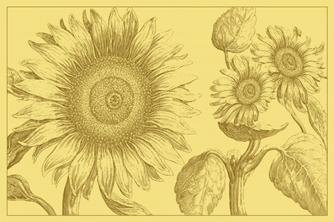 Golden Sunflowers II