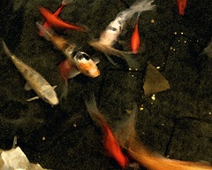 Goldfish Pond II