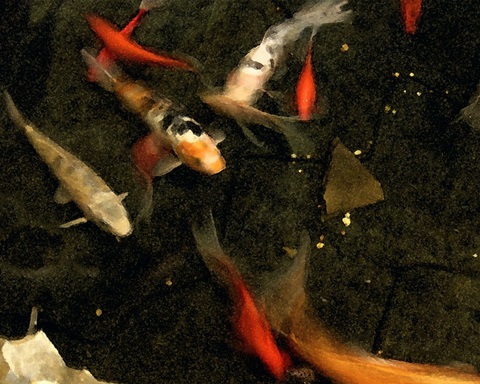 Goldfish Pond II