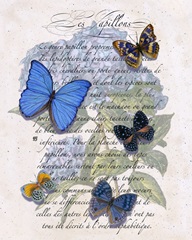 Hydrangea Butterflies I