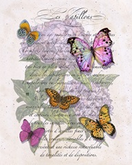 Hydrangea Butterflies II