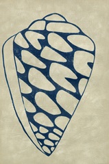 Indigo Shell IV
