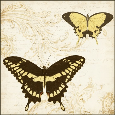 Jardin des Papillons I