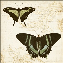 Jardin des Papillons II