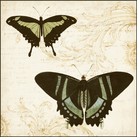 Jardin des Papillons II