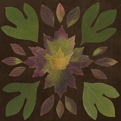 Kaleidoscope Leaves I