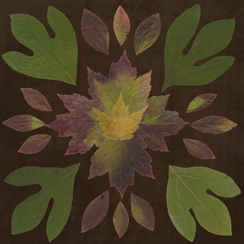 Kaleidoscope Leaves I