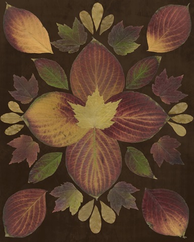 Kaleidoscope Leaves V