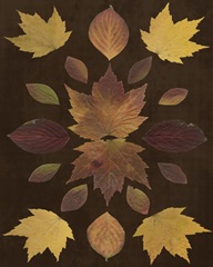 Kaleidoscope Leaves VI