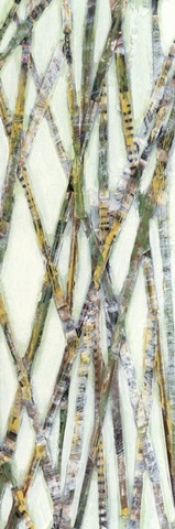 Lemongrass IV