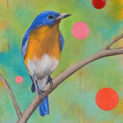 Mysteries of the Universe I