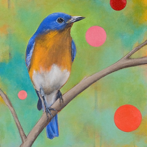 Mysteries of the Universe I