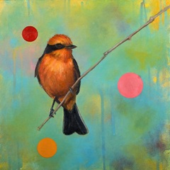 Mysteries of the Universe IV