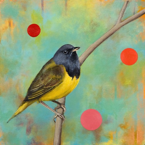 Mysteries of the Universe V