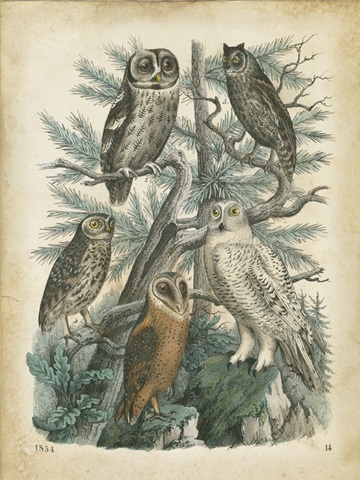 Nature's Gathering III