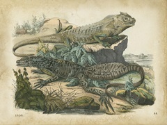 Nature's Gathering VI