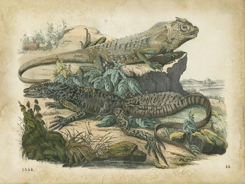 Nature's Gathering VI