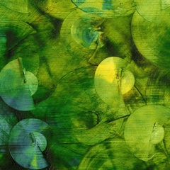 Nautilus in Green II