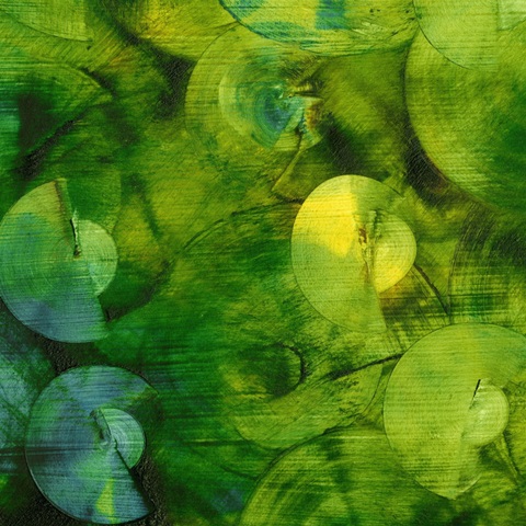 Nautilus in Green II