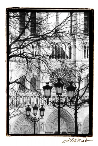 Notre Dame Cathedral II