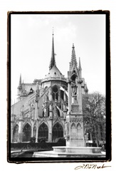 Notre Dame Cathedral III