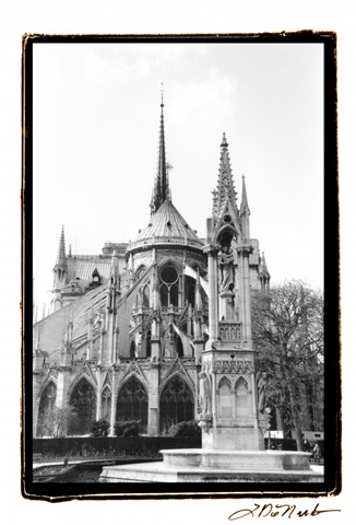 Notre Dame Cathedral III