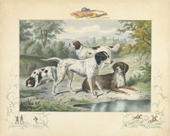 A Group of Spaniels
