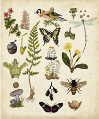 A Walk in the Forest I