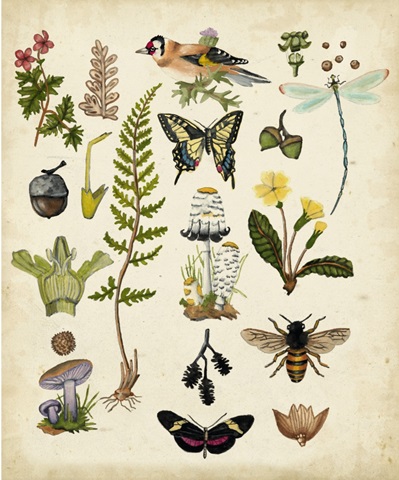 A Walk in the Forest I