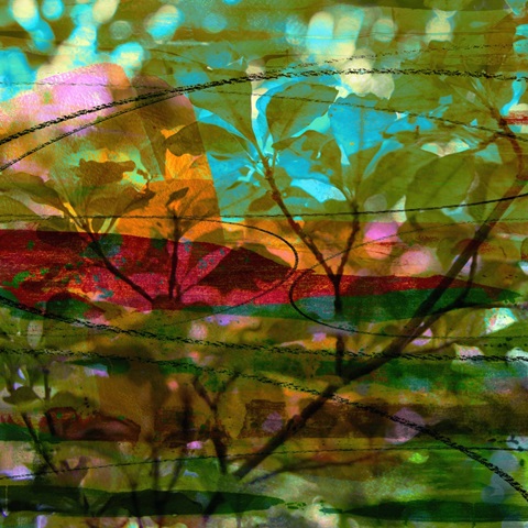 Abstract Leaf Study III