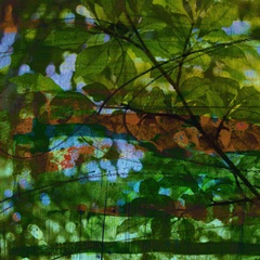 Abstract Leaf Study IV