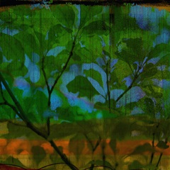 Abstract Leaf Study V