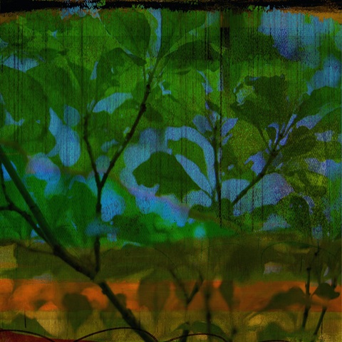 Abstract Leaf Study V